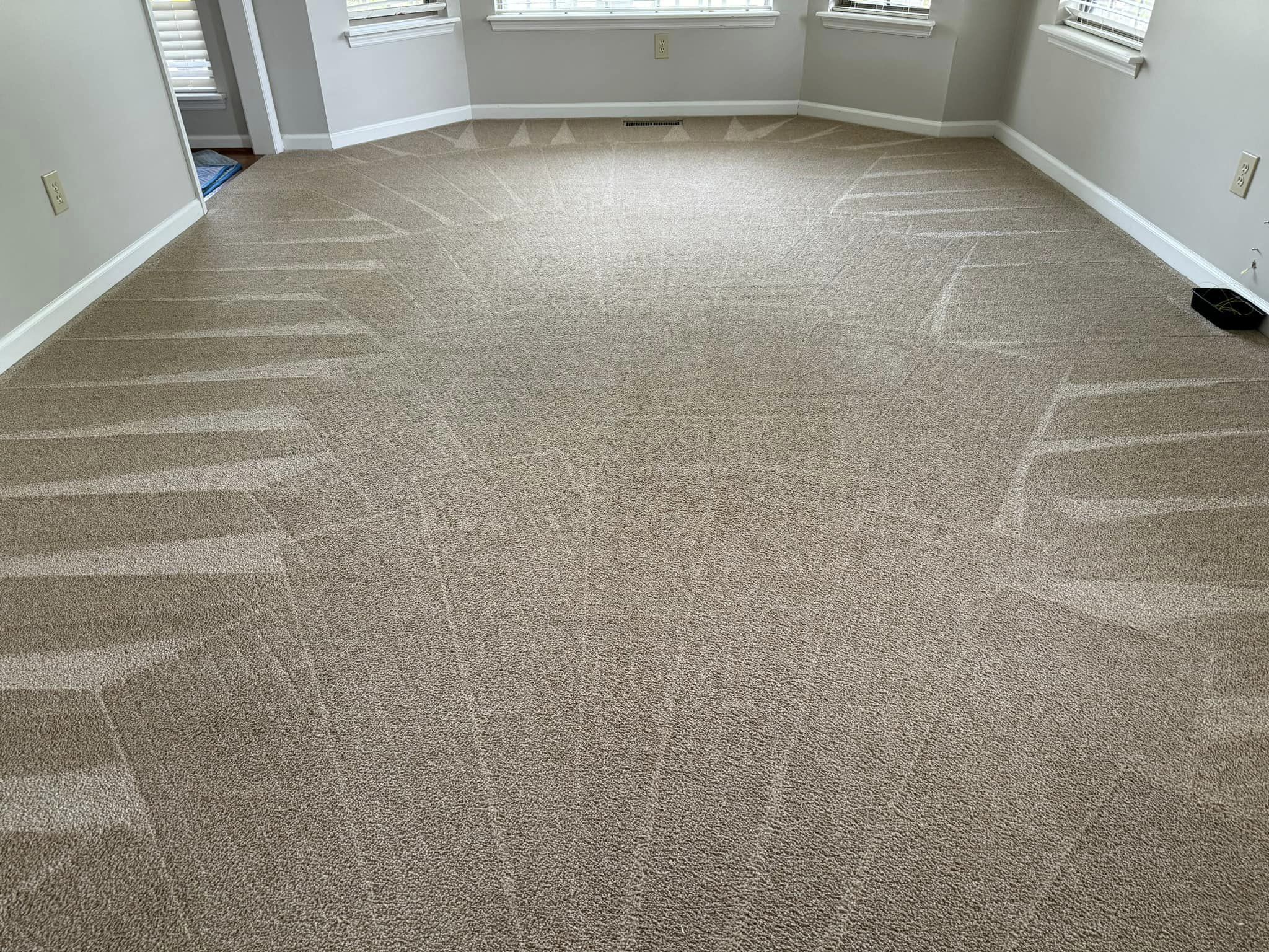 carpet steam cleaning