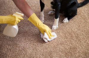 urine removal