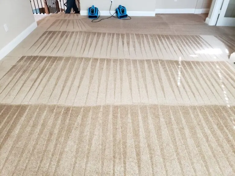 carpet cleaning