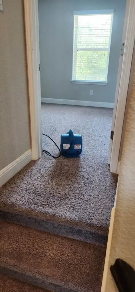 affordable carpet cleaning