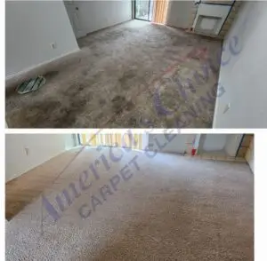 before and after apartment carpet