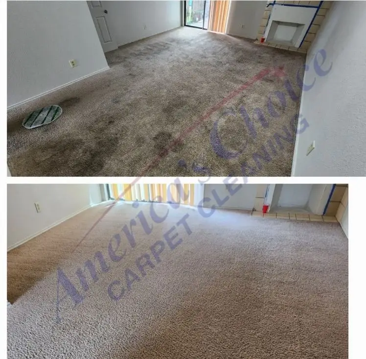 before and after apartment carpet