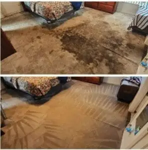 before and after carpet cleaning