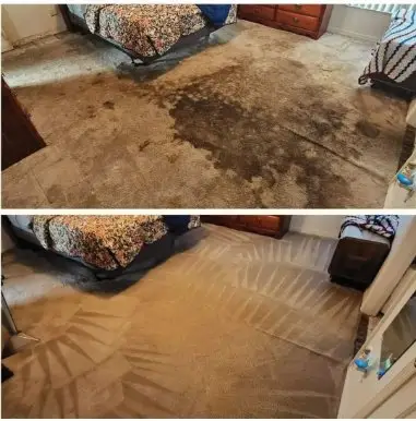 before and after carpet cleaning