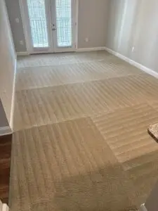 carpet cleaning san antonio