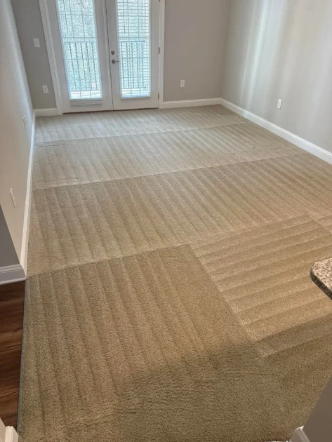 carpet cleaning san antonio