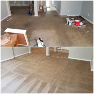 carpet cleaning before and after san antonio