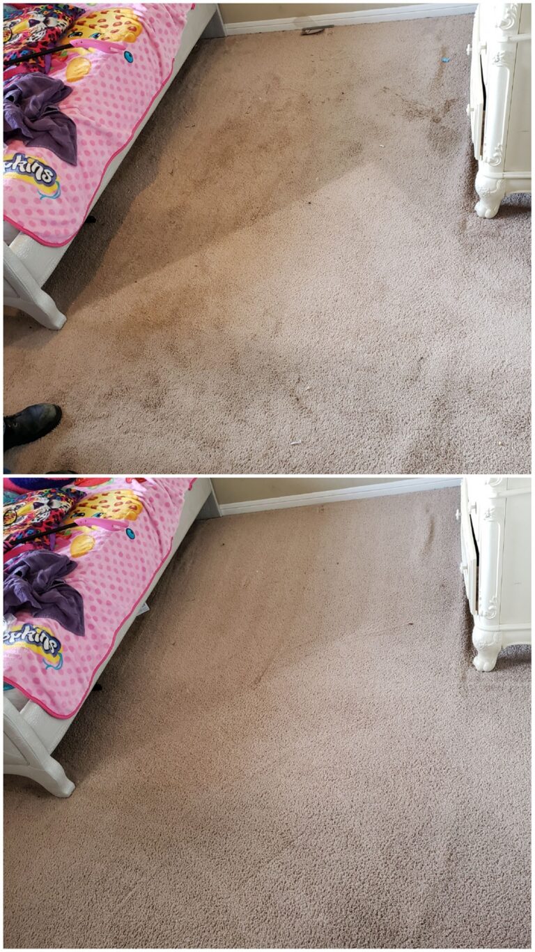 before and after carpet