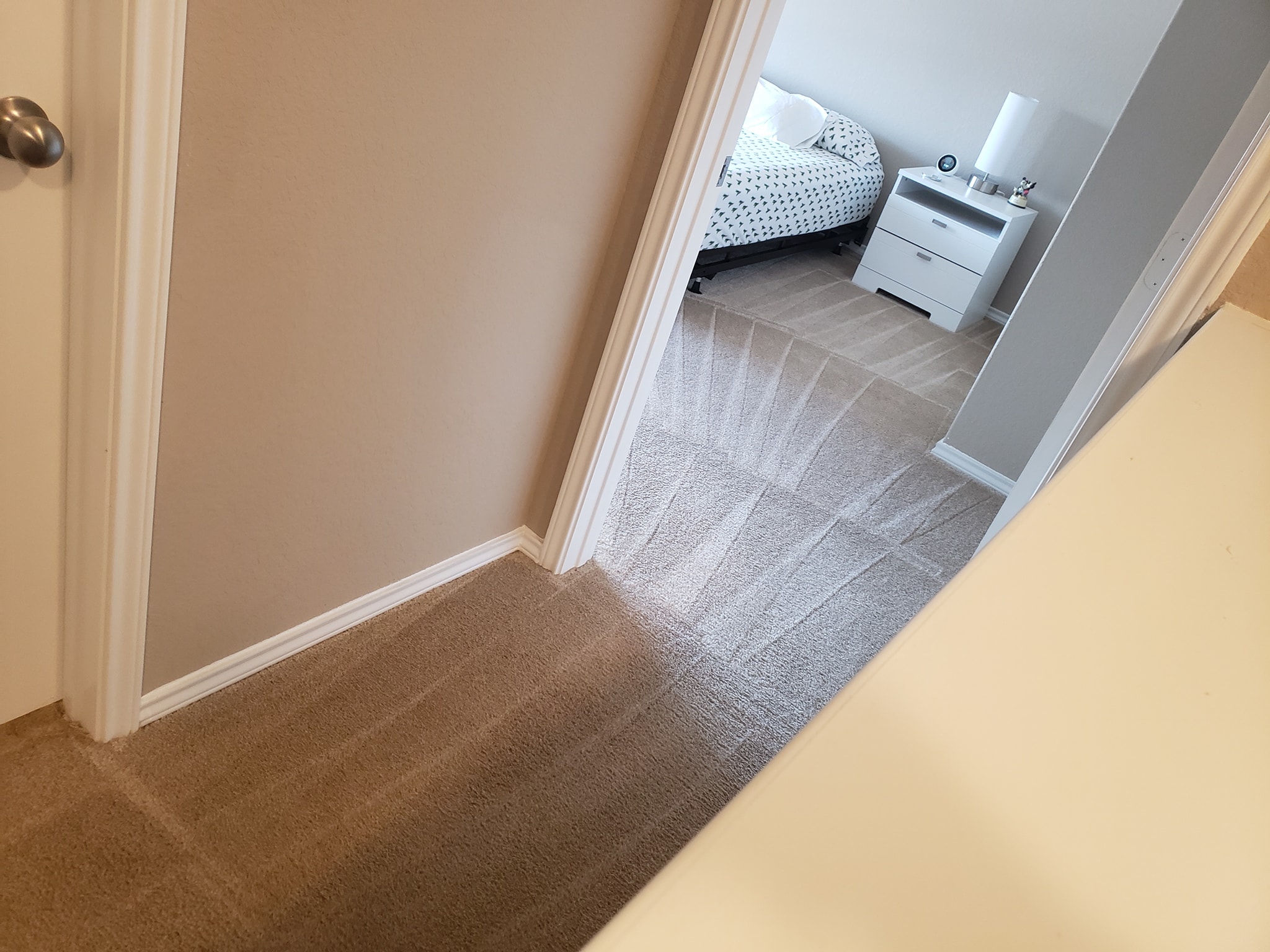 carpet cleaning after