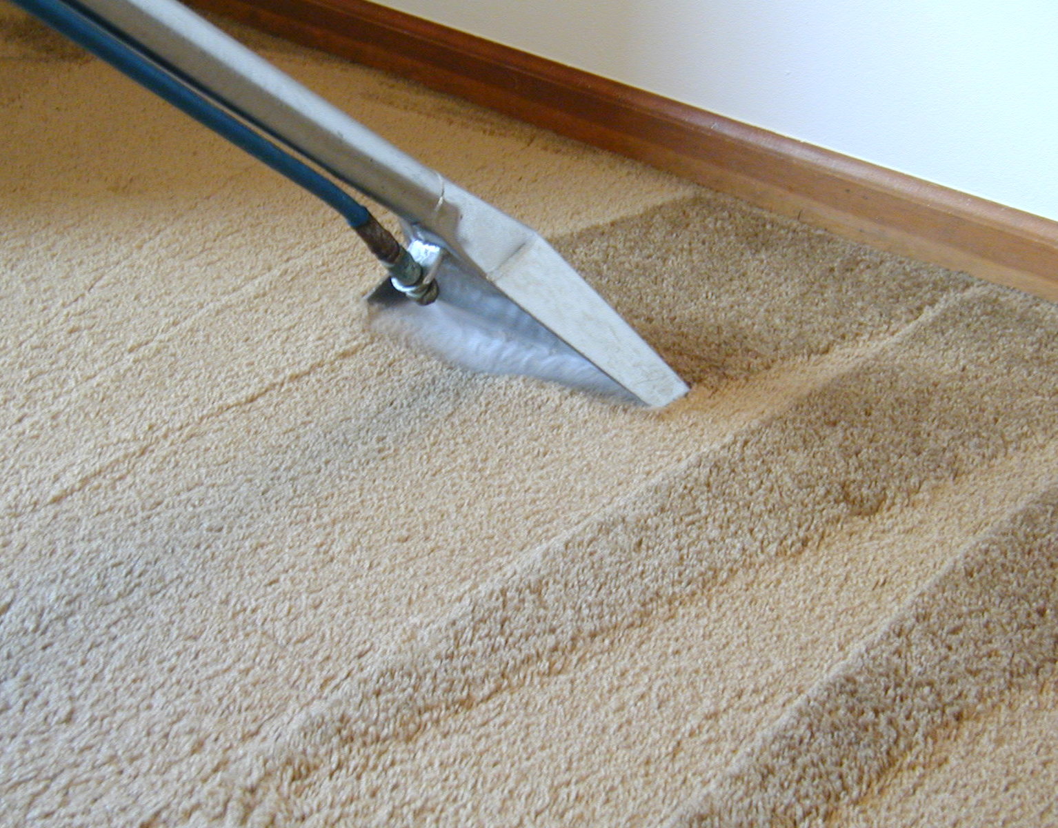 carpet cleaning san antonio